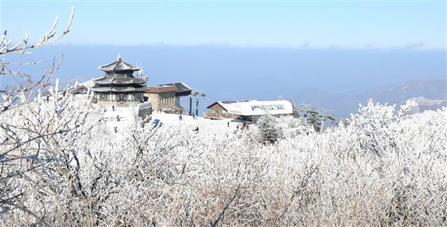 ‘무주 덕유산’ 상고대가 연출한 겨울왕국