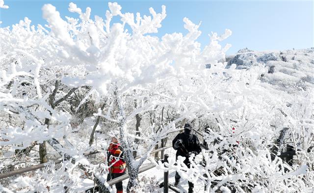 ‘눈꽃 속으로’