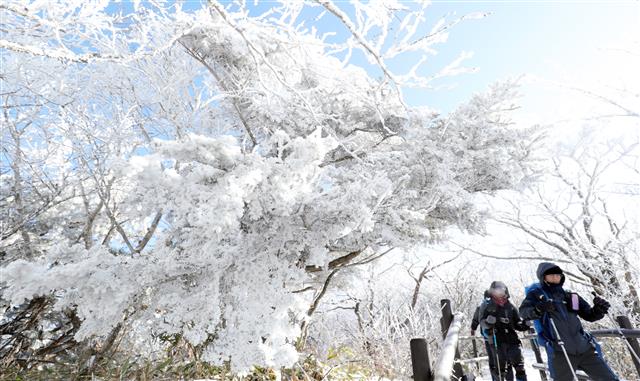 무주 덕유산을 겨울에 찾는 이유