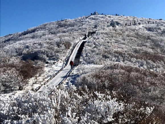 지리산 노고단 ‘설경’