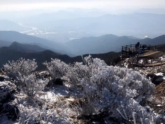 눈꽃 활짝 핀 지리산 노고단