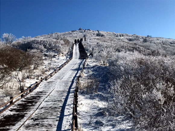 지리산 노고단 지붕 밑 설경