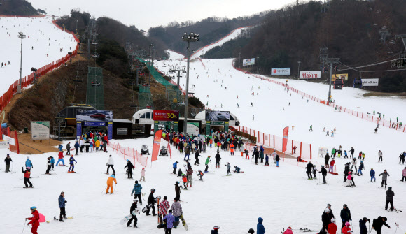 12월 마지막 주말인 29일 강원 홍천군 비발디파크 스키장에서 많은 스키어와 스노보더가 슬로프를 질주하고 있다. 2019.12.29  연합뉴스