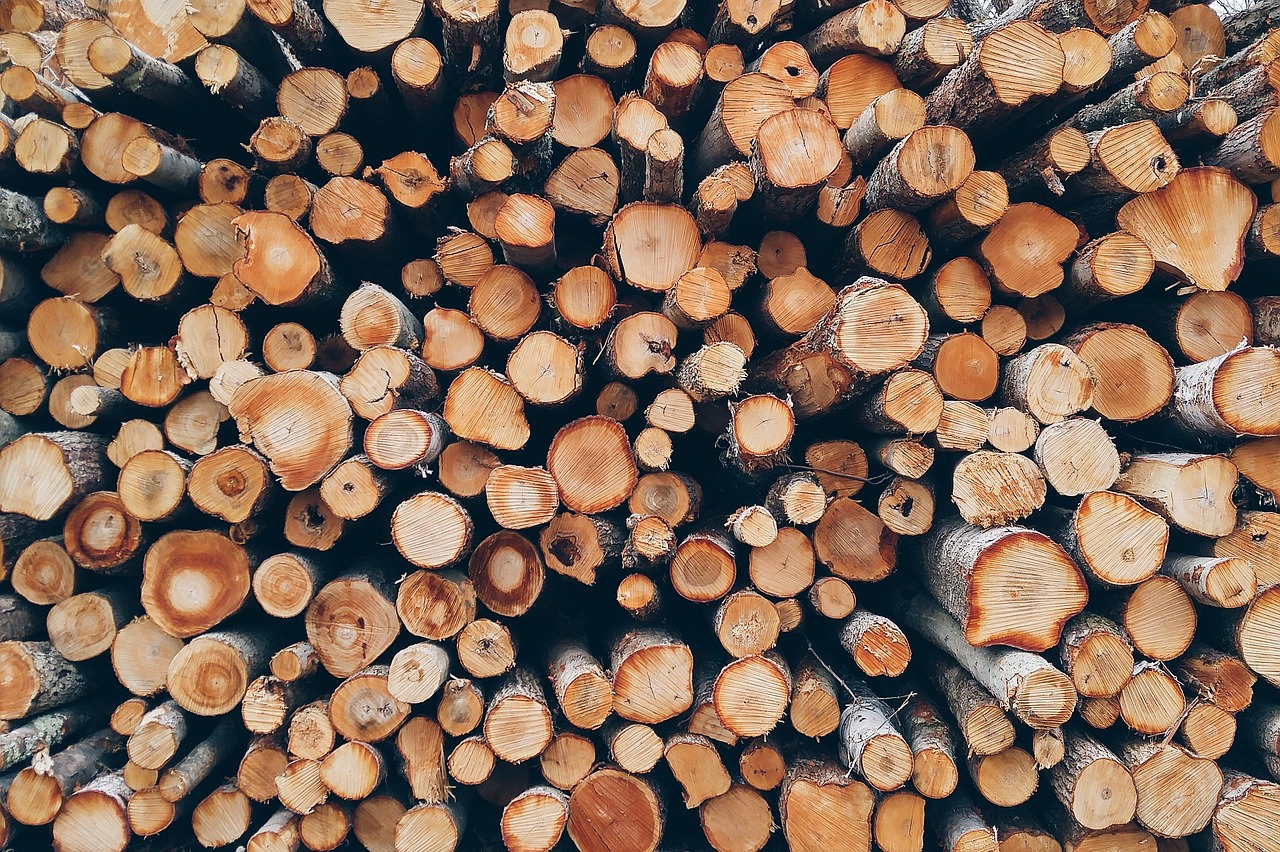 폐목재 속 리그닌 활용방법 개발