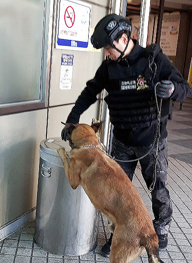 폭발물 수색하는 경찰견