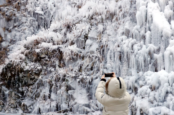 ‘얼음꽃 가득’