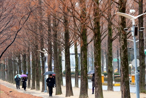 소한에 내리는 비