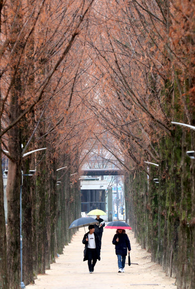 눈대신 비내리는 ‘소한’