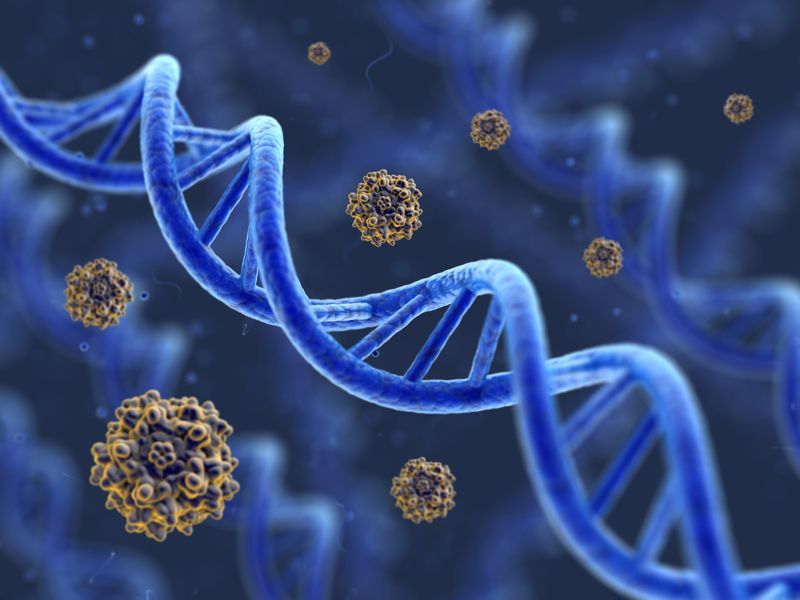유전자 치료가 암 촉발시킨다?