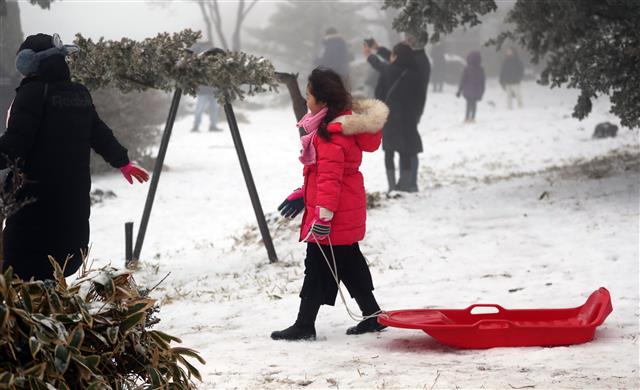 ‘초여름에서 다시 겨울로’
