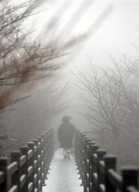 ‘눈 쌓인 한라산 1100고지’