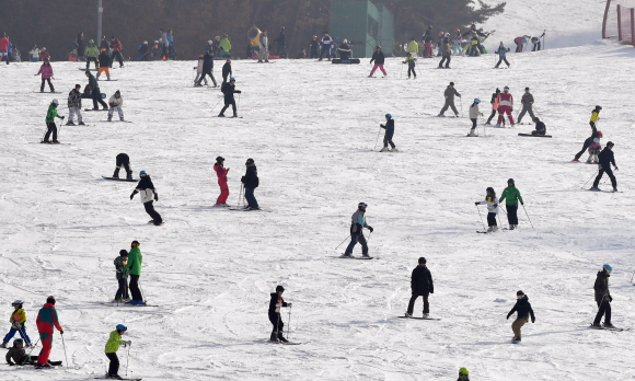 12일 강원도 홍천 비발디파크에서 스키장을 찾은 스키인파로 슬로프가 가득하다. 2020.1.12 박지환기자 popocar@seoul.co.kr