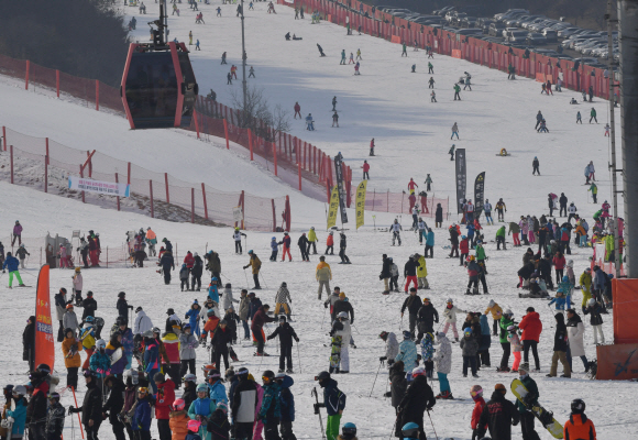 12일 강원도 홍천 비발디파크에서 스키장을 찾은 스키인파로 슬로프가 가득하다. 2020.1.12 박지환기자 popocar@seoul.co.kr