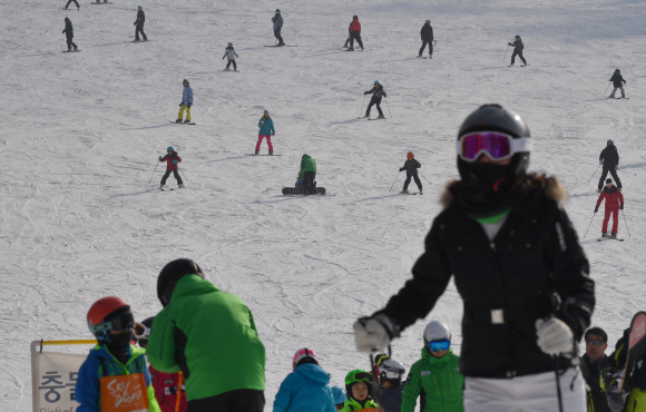 12일 강원도 홍천 비발디파크에서 스키장을 찾은 스키인파로 슬로프가 가득하다. 2020.1.12 박지환기자 popocar@seoul.co.kr