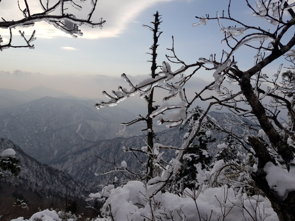 겨울왕국으로 변한 설악산