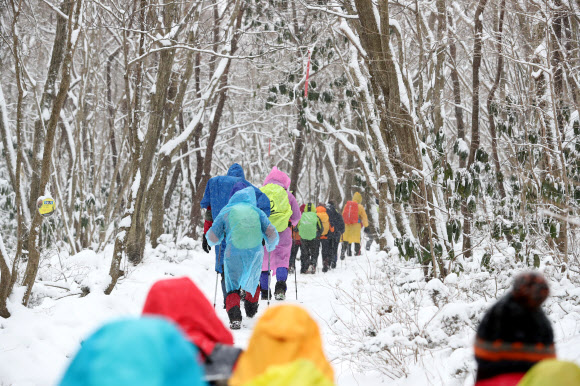 눈 쌓인 한라산 산행