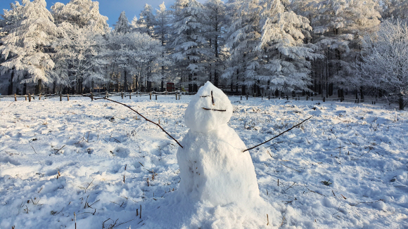 강원 정선과 태백 지역에선 겨울 하면 떠오르는 그 모습들이 곳곳에 펼쳐진다. 만항재 ‘하늘숲공원’ 앞에 세워진 눈사람.