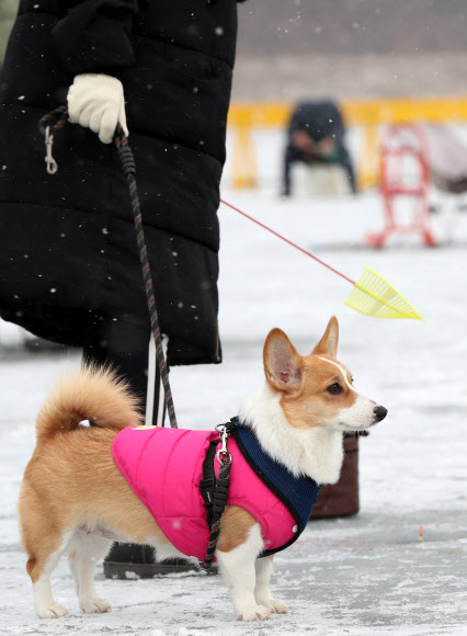 주인님의 월척을 기다립니다