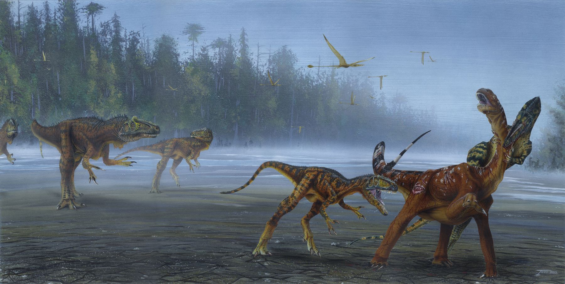 중생대 쥐라기 최강공룡 알로사우루스 새로운 종 발견
