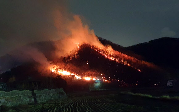 국립공원 위협하는 화마