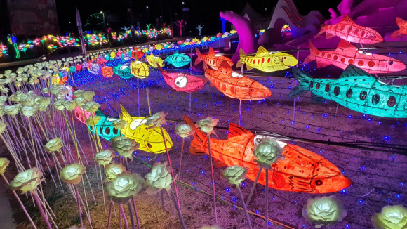 27일 강원 화천군 화천천에서 산천어축제가 개막한 가운데 화천읍 도심 거리 산천어 모양의 등에 환하게 불이 켜져 있다. 2020.1.27  연합뉴스