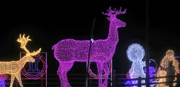 27일 강원 화천군 화천천에서 산천어축제가 개막한 가운데 화천읍 도심 거리에 다양한 조명이 환하게 켜져 있다. 2020.1.27  연합뉴스
