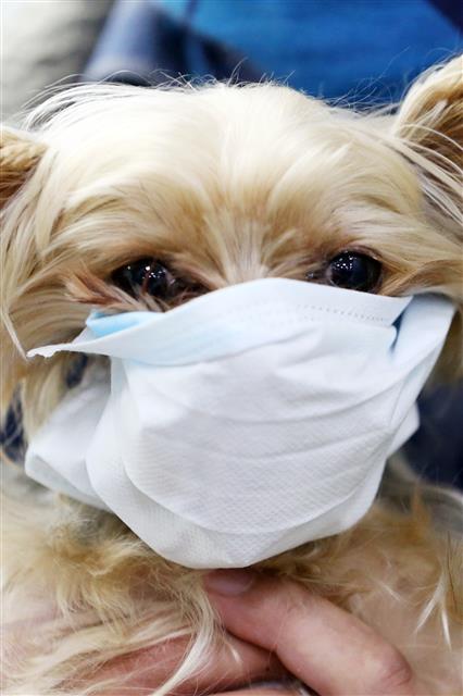 ‘저도 마스크했어요’