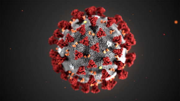 미국 질병관리본부가 공개한 신종 코로나바이러스 모형. AP통신