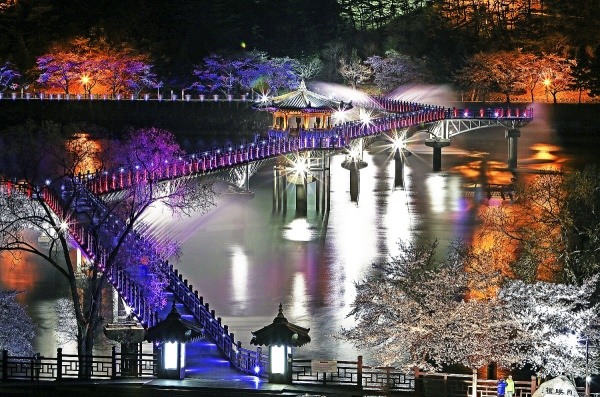 국내에서 가장 긴 목책 인도교인 안동 월영교 야간 경관. 안동시 제공  