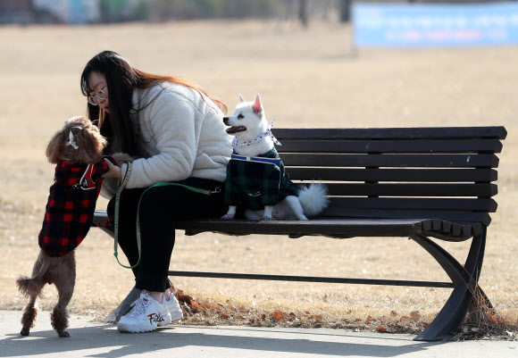 서울의 낮 기온이 13도를 기록한 11일 오후 서울 여의도공원에서 한 시민이 강아지와 함께 나들이를 즐기고 있다. 2020.2.11  연합뉴스