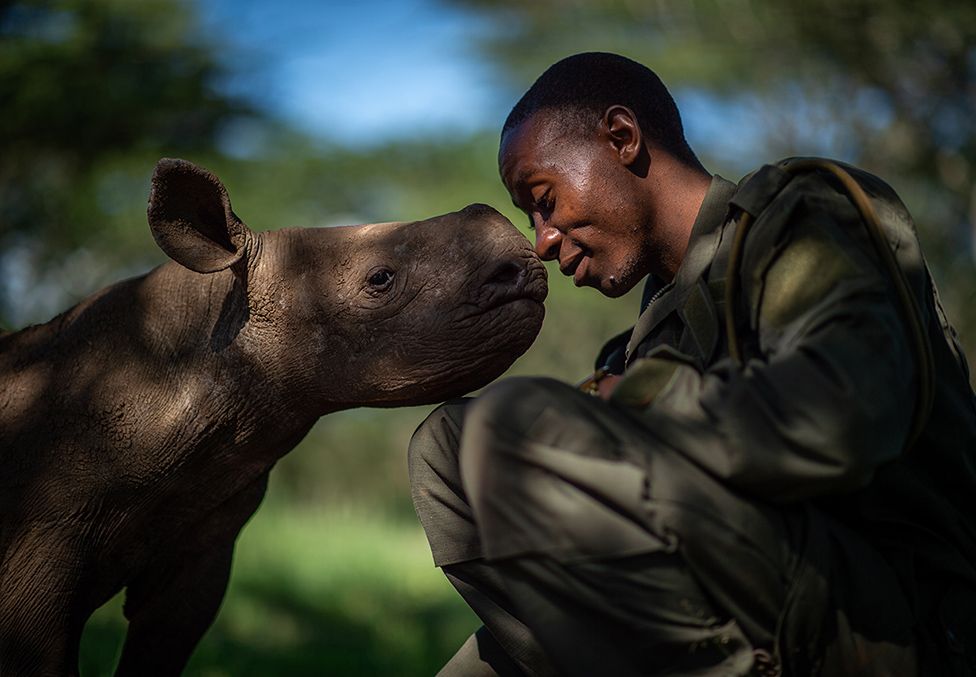 아기 검정코뿔소와 야생공원 레인저 요원이 정서적 교감을 하고 있다.  Martin Buzora