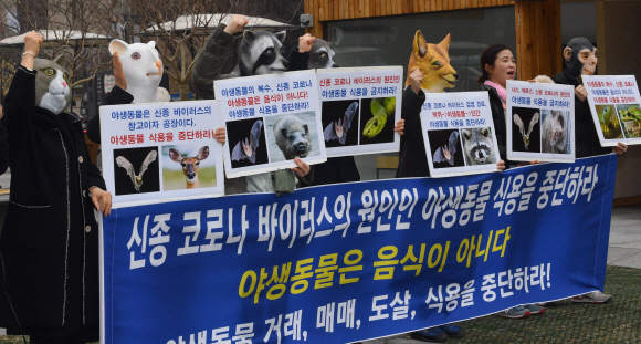 13일 서울 광화문 이순신장군 동상앞에서 열린신종 코로나 바이러스 원인 야생동물 식용 중단 촉구 기자회견에 참석한 한국동물보호연합 회원들이 야생동물 마스크를 쓴채 구호를 외치고 있다. 2020.2.13 박지환기자 popocar@seoul.co.kr