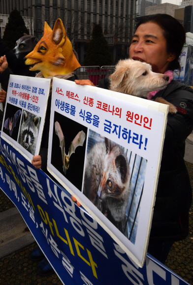13일 서울 광화문 이순신장군 동상앞에서 열린신종 코로나 바이러스 원인 야생동물 식용 중단 촉구 기자회견에 참석한 한국동물보호연합 회원들이 야생동물 마스크를 쓴채 구호를 외치고 있다. 2020.2.13 박지환기자 popocar@seoul.co.kr