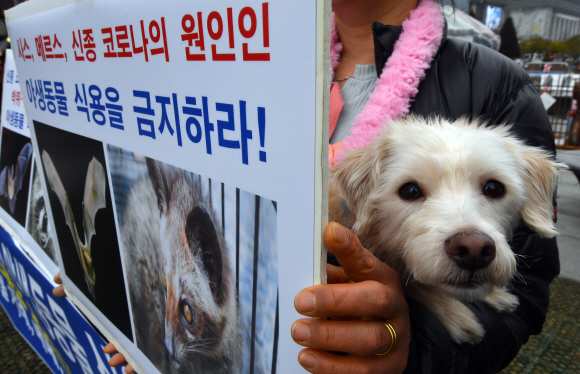 13일 서울 광화문 이순신장군 동상앞에서 열린신종 코로나 바이러스 원인 야생동물 식용 중단 촉구 기자회견에 참석한 한국동물보호연합 회원들이 야생동물 마스크를 쓴채 구호를 외치고 있다. 2020.2.13 박지환기자 popocar@seoul.co.kr
