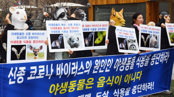 13일 서울 광화문 이순신장군 동상앞에서 열린신종 코로나 바이러스 원인 야생동물 식용 중단 촉구 기자회견에 참석한 한국동물보호연합 회원들이 야생동물 마스크를 쓴채 구호를 외치고 있다. 2020.2.13 박지환기자 popocar@seoul.co.kr