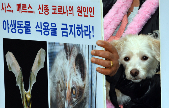 13일 서울 광화문 이순신장군 동상앞에서 열린신종 코로나 바이러스 원인 야생동물 식용 중단 촉구 기자회견에 참석한 한국동물보호연합 회원들이 야생동물 마스크를 쓴채 구호를 외치고 있다. 2020.2.13 박지환기자 popocar@seoul.co.kr