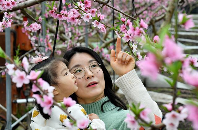 입춘과 함께 찾아 온 봄소식