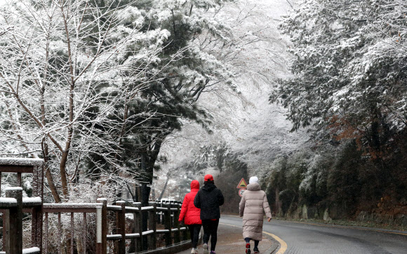 눈 내린 남산길