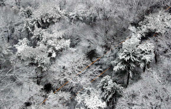 눈 내린 남산순환로