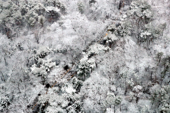 눈 내린 남산순환로