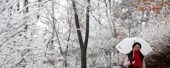 ‘눈 내린 서울’