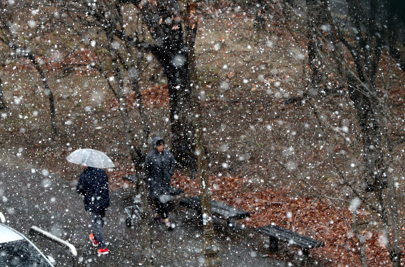펑펑 눈이 옵니다