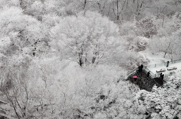 눈이 내리는 16일 중구 남산서울타워에서 바라본 남산이 하얀 눈으로 덮여있다. 2020.2.16. 박윤슬 기자 seul@seoul.co.kr