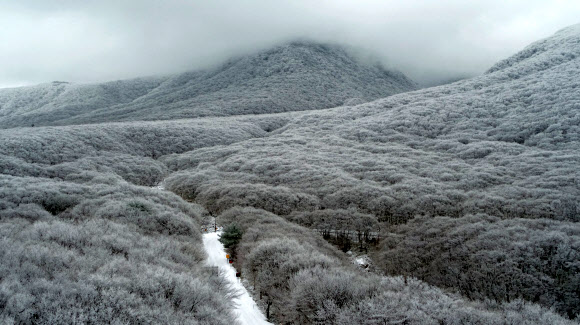 폭설이 빚어낸 한라산 절경