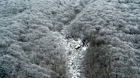 폭설이 빚어낸 한라산 절경