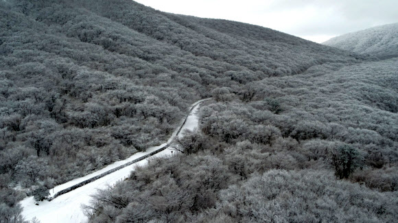 폭설이 빚어낸 한라산 절경