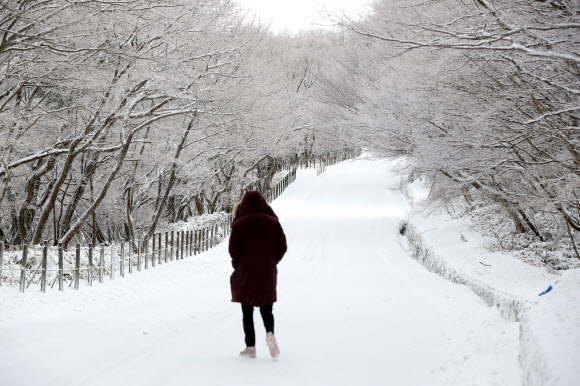 ‘지금 한라산은 겨울왕국’