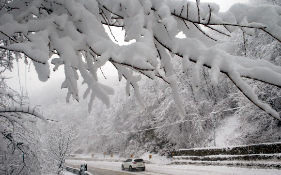 폭설 내린 대관령 오르는 차량