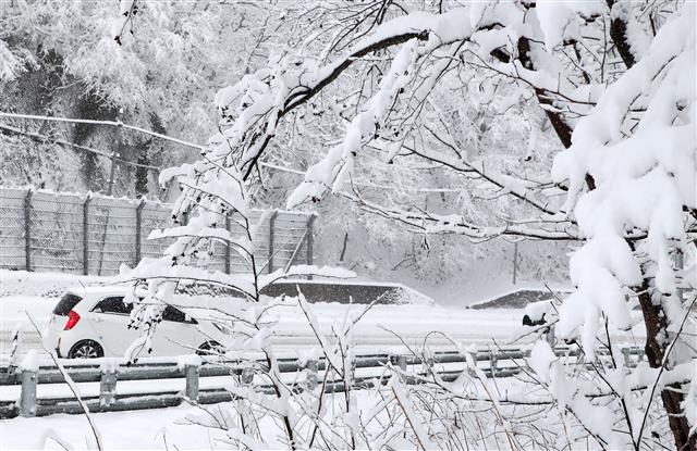 눈 쌓인 대관령 옛길