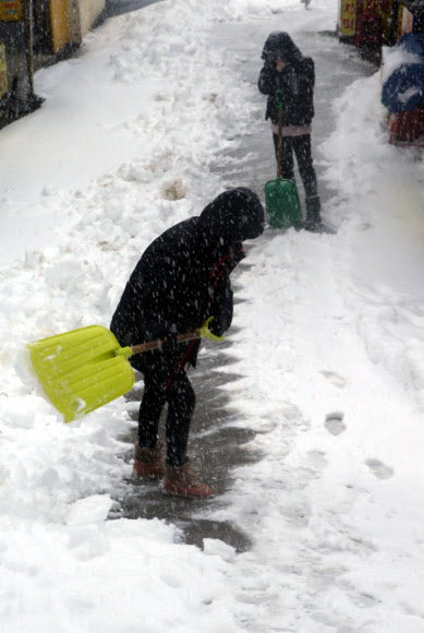 힘겨운 대관령 제설 작업